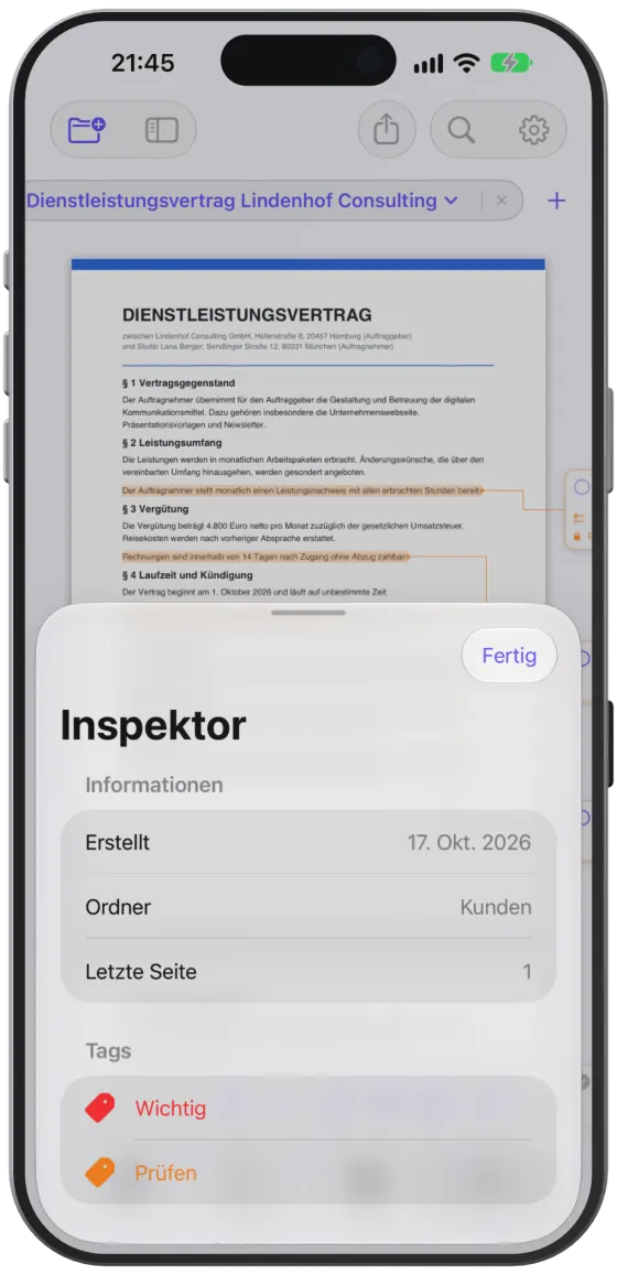 Der Inspektor mit Informationen, Tags, Dokumentaufgaben und Texterkennung.