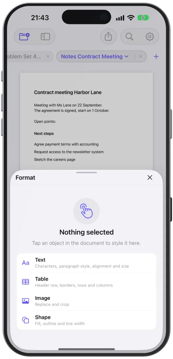 The format panel with nothing selected, showing which objects you can style.