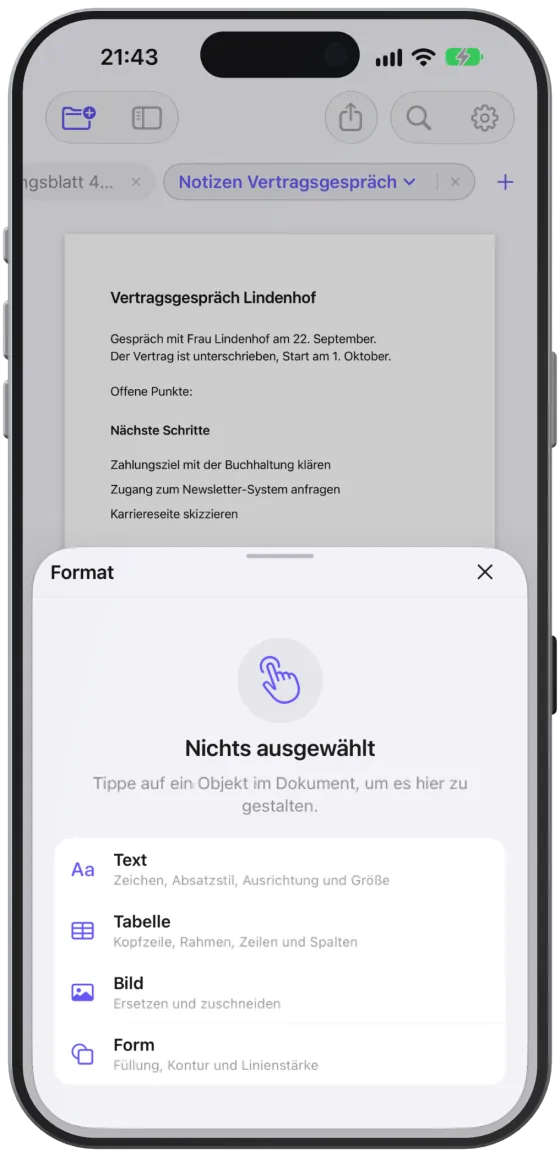 Das Format-Panel ohne Auswahl mit der Übersicht der gestaltbaren Objekte.